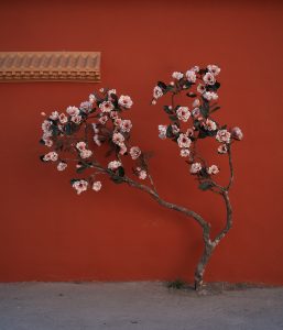 小王